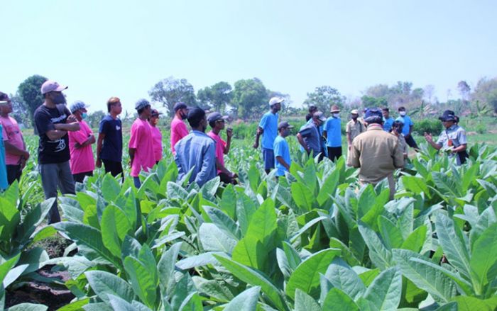 Petani Harus Terdaftar di e-RDKK Untuk Memperoleh Pupuk Bersubsidi