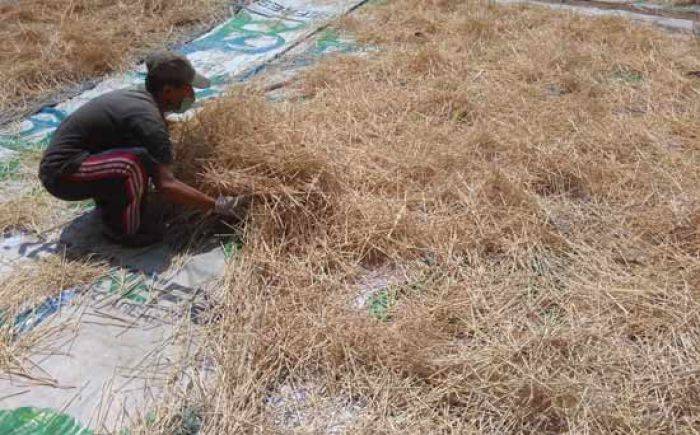 Jelang Hari Raya Kurban, Pembuat Tusuk Sate Raup Keuntungan Berlipat