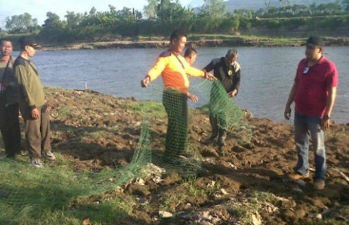 Tim BKKSDA Jatim Mulai Buru Buaya di Kali Porong Sidoarjo