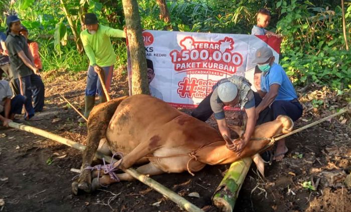 DPD PKS Kabupaten Kediri Turut Sukseskan Tebar 1,5 Juta Paket Kurban