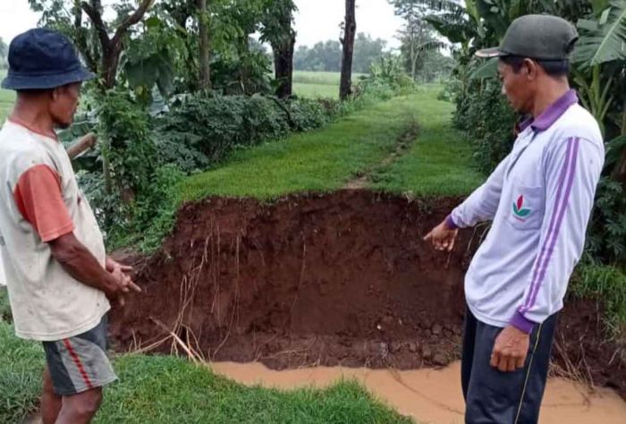 Hujan Deras di Lereng Wilis, Tanggul Sungai Kolokoso di Kecamatan Tarokan Jebol