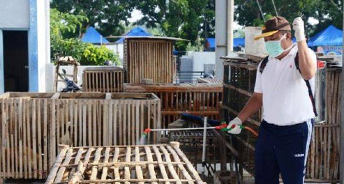 Flu Burung Merebak DPKH Lamongan Semprot Desinfektan