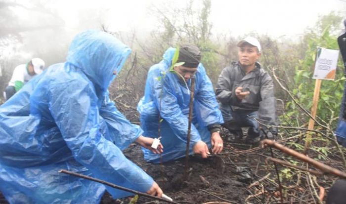 Peduli Kelestarian Ranu Pane, Pegiat Lingkungan di Lumajang Tandur Bareng