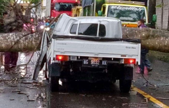 Pohon Tumbang Timpa Pikap di Blitar, Dua Orang Tewas