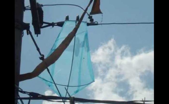 Listrik Padam Beberapa Kali, PLN Blitar Keluhkan Benang Layangan yang Nyangkut di Kabel Listrik