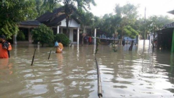 Luapan Kali Lamong Rendam Puluhan Hektar Sawah di Mojokerto