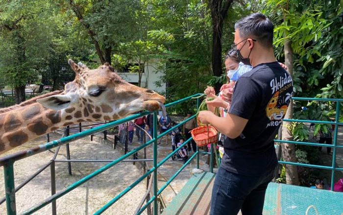 Empat Hari Libur Lebaran, Pengunjung KBS Tembus 17.801 Orang