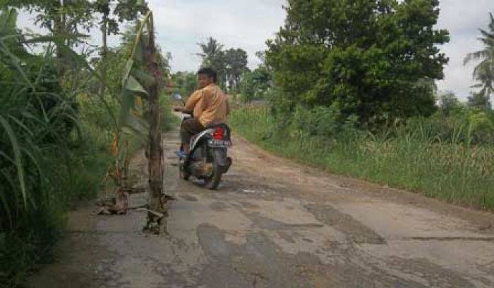 Lama Tak Diperbaiki, Jalan di Sumenep Ditanami Pisang