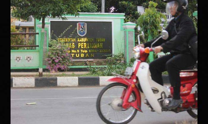 Jelang Mutasi Jabatan Pemkab Tuban, Ansor Berharap Bupati Tempatkan Orang yang Tepat di Disperta