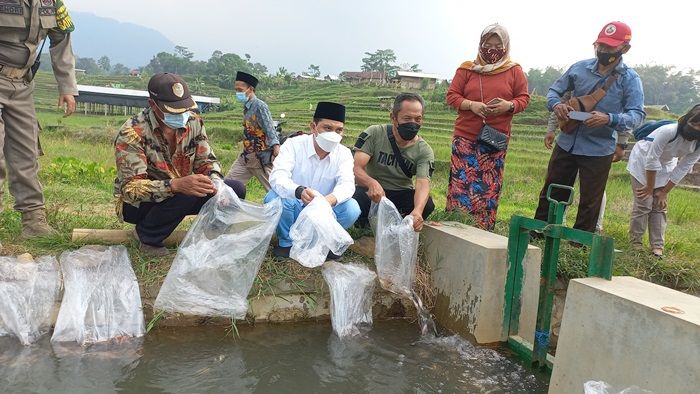 Dukung Penuh Kawasan Wisata Organik, Gus Barra Tebar 5.000 Benih Ikan Nila di Desa Penanggungan