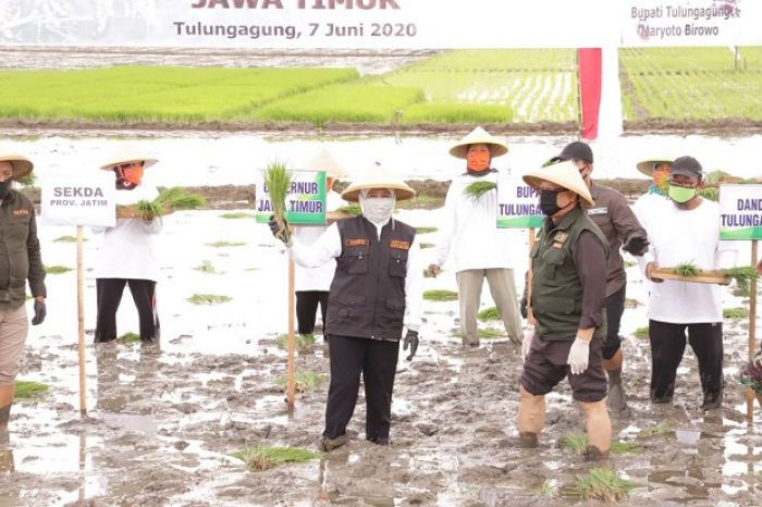 Regenerasi Petani Tak Bisa Ditawar, Gubernur Khofifah Ajak Para Milenial Geluti Sektor Pertanian