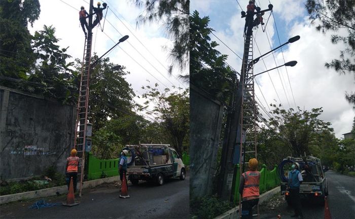 Antisipasi Gangguan Jaringan, PLN ULP Darmo Permai Lakukan Pemasangan Westpex Kabel