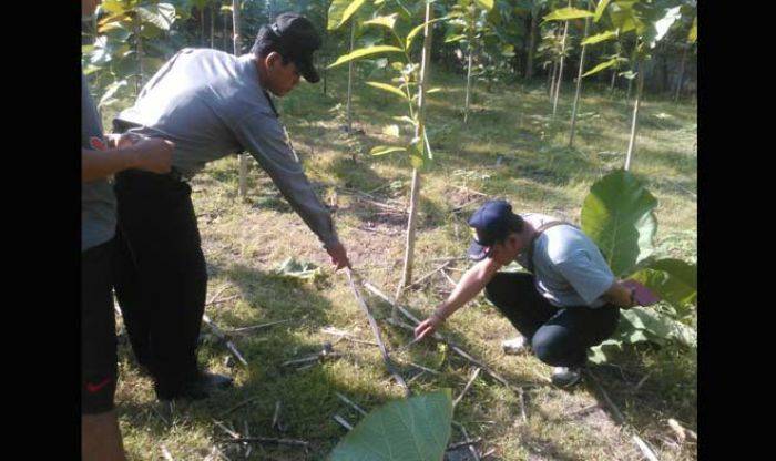 Pindahkan Kabel di Tengah Jalan, Petani di Bojonegoro Tewas Tersengat Listrik