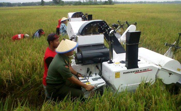 KSAD dan Dirjen Tanaman Pangan RI Panen Raya di Bojonegoro