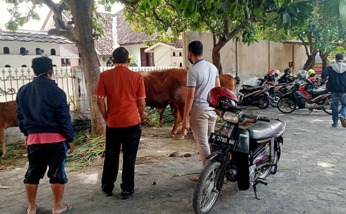 Beraksi di 5 TKP Berbeda, 2 Pencuri Sapi dan Penadah Ditangkap Polres Probolinggo Kota