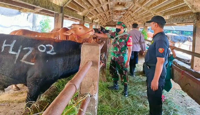 Antisipasi PMK, Babinsa Sidotopo Awasi RPH Pegirian Surabaya