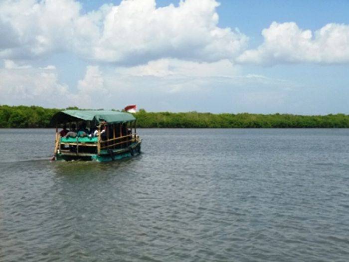 Hutan Mangrove Bedul, Destinasi Pariwisata yang ‘Hancur’ karena Tarif