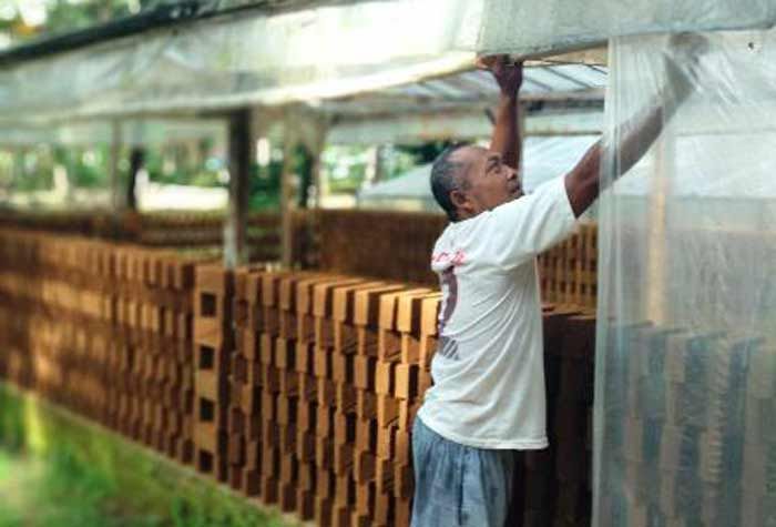 Perajin Bata di Pacitan Kembang Kempis, Terhimpit Peraturan 