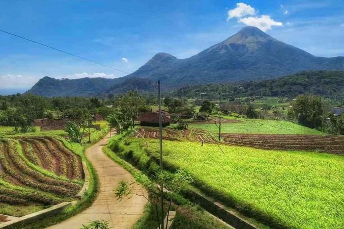 Tempat Wisata di Trawas, Pemandangan Gunung dan Air Terjun Cocok untuk Berlibur Bersama Keluarga