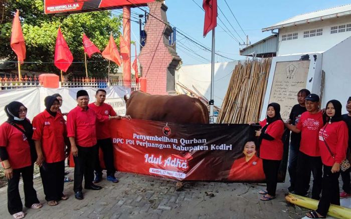 PDIP Kabupaten Kediri Kurban Sapi Berbobot 1,2 Ton Sumbangan Keluarga Menseskab Pramono