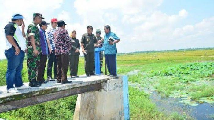 Waduk Rancangkencono Lamongan Dikomersilkan, Dipetak, Disewakan ke Petani