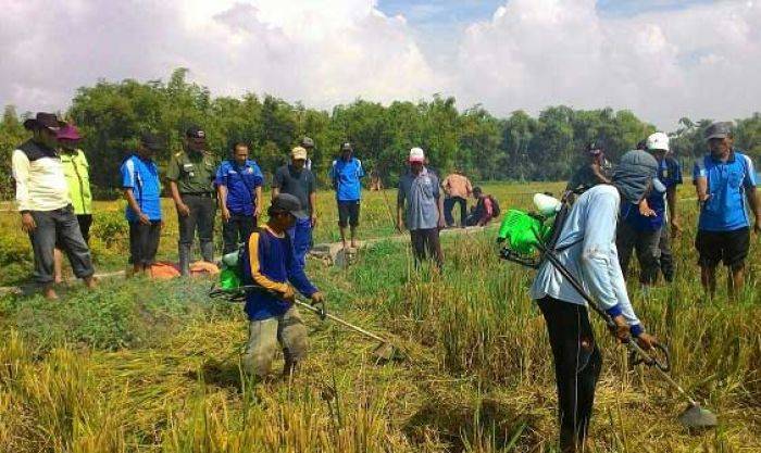 Dishut Jatim - Kodam Brawijaya Pantau Penghijauan Serentak di Kediri  