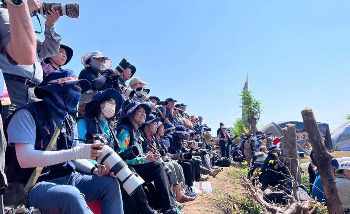 Budaya Kerapan Sapi Brujul jadi Perhatian Fotografer Mancanegara