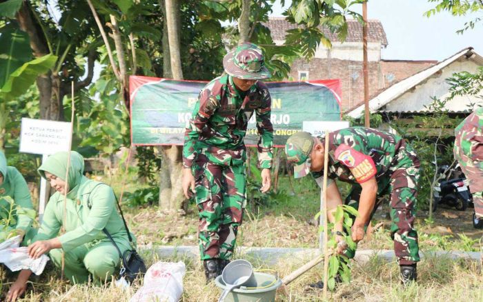 Wujudkan Ketahanan Pangan Lokal, Dandim 0816 Sidoarjo Tanam Padi dan Bibit Pohon pada TMMD ke-120