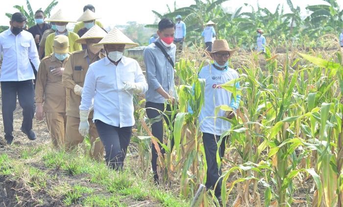 Gelar Sapa Petani, Bupati Gus Yani Ingin Jadikan Desa Setro Pilot Project Ekosistem Pertanian Gresik