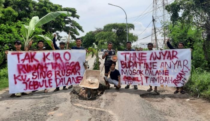 Jalan Rusak, Sejumlah Pemuda di Desa Sumberejo Gresik Tanam Pohon Pisang di Tengah Jalan