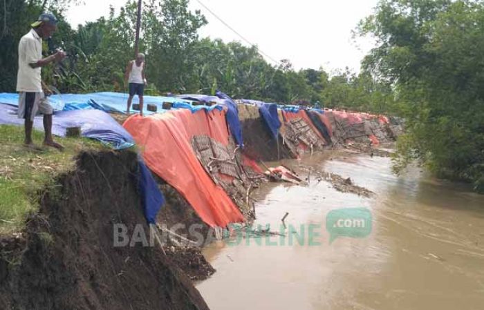 Tanggul Bengawan Solo di Kanor Longsor Lagi, Warga Sekitar Tak Bisa Tidur 