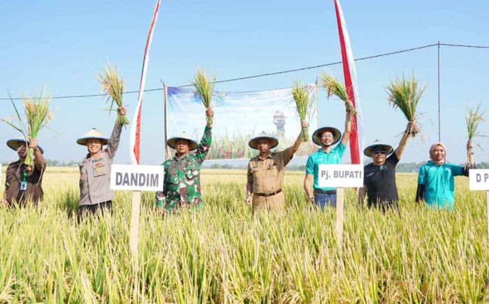 Bukti Berhasilnya Kemitraan dengan Uni Eropa, Pemkab Madiun Gelar Panen Raya