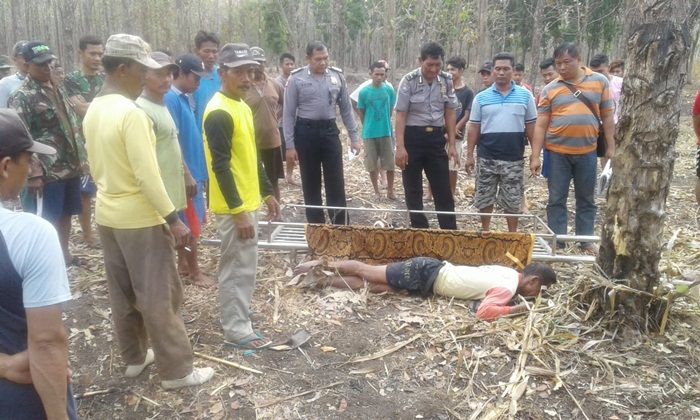 Ini Dugaan Tewasnya Warga Begal Ngawi Usai Jatuh dari Pohon Jati 