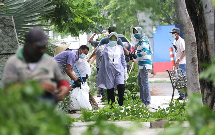 ​Tak Main Potong Sembarangan, Risma Beberkan Cara Perantingan Pohon yang Benar