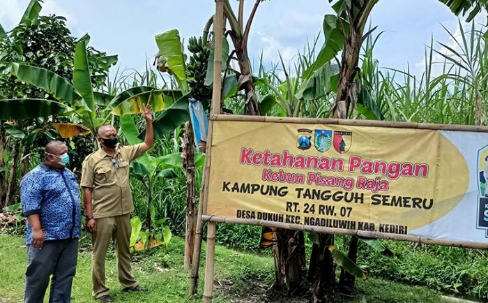 Wujudkan Ketahanan Pangan di Tengah Pandemi, Warga Dukuh Budi Daya Pisang Raja dan Bibit Bunga