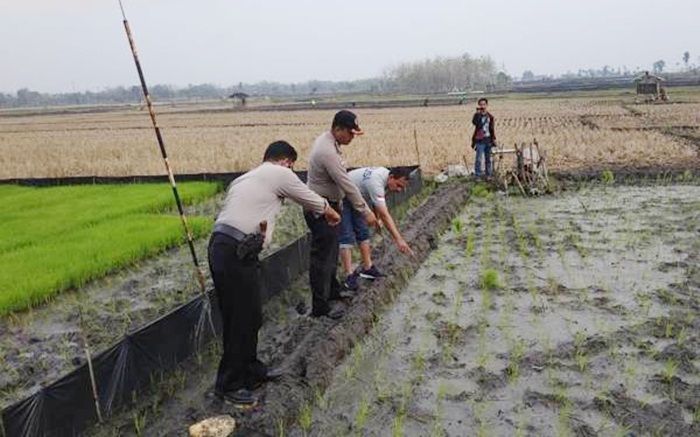 ​Kapolres Ngawi akan Tindak Tegas Pelaku Pemasang Jebakan Tikus Memakai Setrum