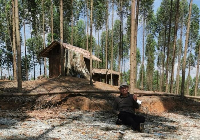 Gubernur Pingsan, ​Temperatur Titik Nol IKN 32, Tapi Serasa 49, Perlu Hutan Baru