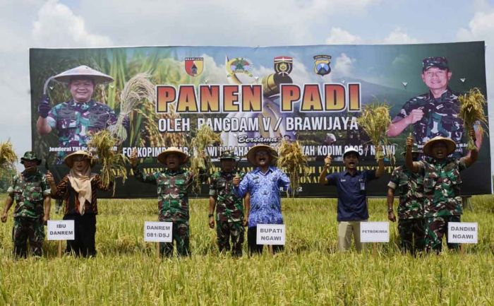 Danrem 081/DSJ Didampingi Dandim Ngawi Panen Padi di Desa Bangunrejo Kidul