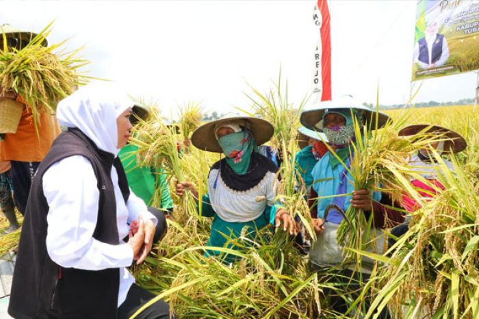 NTP Jatim Alami Kenaikan, Gubernur Khofifah: PR Berikutnya Jaga Stabilitas Harga Jelang Lebaran