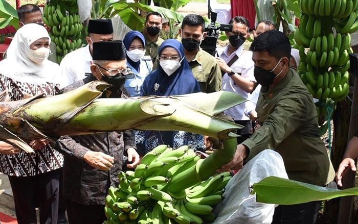 Gubernur Khofifah Dampingi Wapres Ma