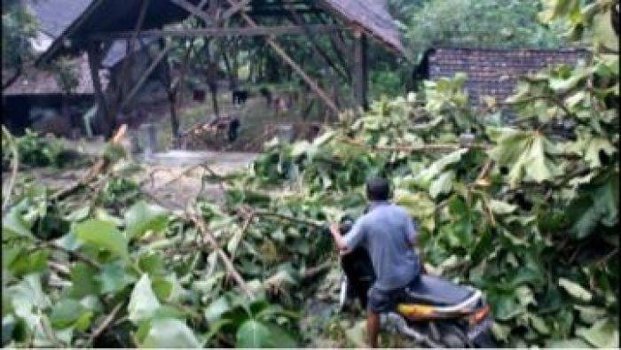 ​Puting Beliung Hajar Pemukiman Warga di Nganjuk