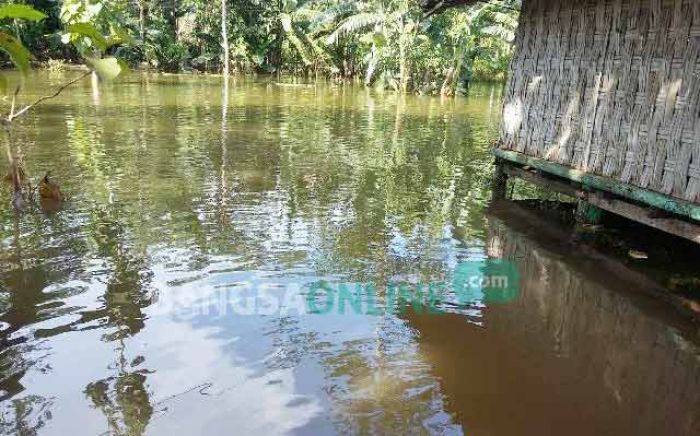 Fenomena Aneh di Pameksan, Sumur Warga Meluap Banjiri Sawah