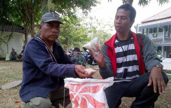 Beras Bulog Bau Apek, LSM Laporkan Pengadaan Raskin ke Kejari Sampang