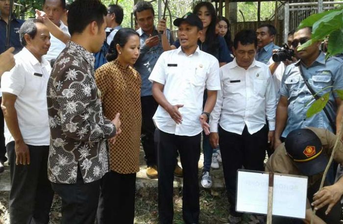 Kunjungi Kawasan Wisata Hutan Kota Trenggalek, Menteri BUMN Tanam Pohon Adopsi