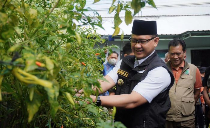 Wujudkan Kemandirian Pangan, Pemkot Batu Canangkan P2L