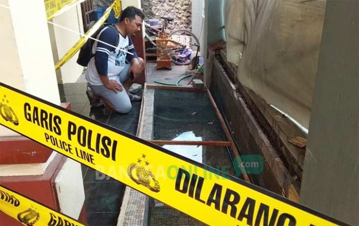 Warga Kota Blitar Kedapatan Pelihara Ular dan Buaya di Perumahan