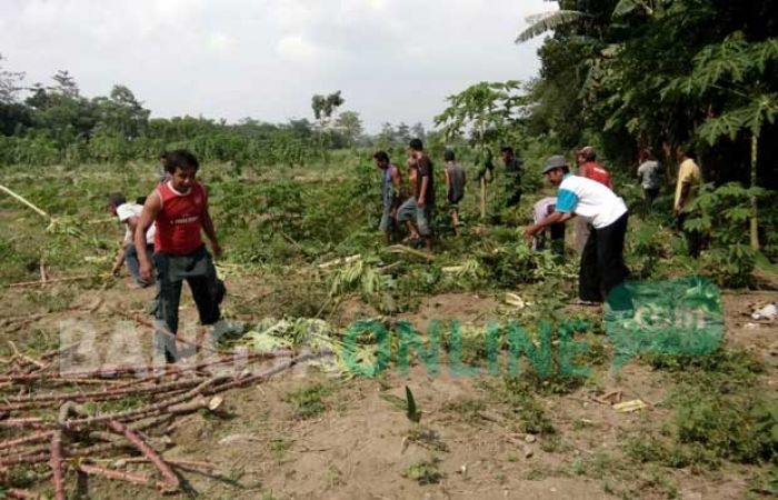 Rebutan Lahan Garapan Milik TNI AU di Ponggok Blitar, Dua Kubu Warga Penggarap Nyaris Bentrok