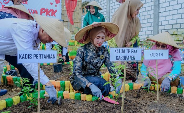 Optimalkan Pekarangan Rumah, Ketua TP PKK Gresik Ajak Ibu-Ibu Tanam Cabai