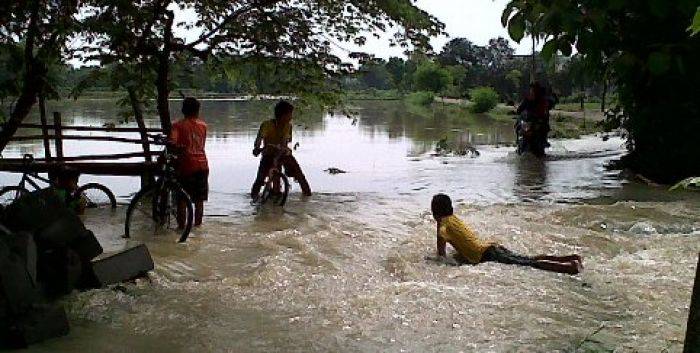 Puluhan Hektare Tanaman Padi di Bojonegoro Terendam Banjir