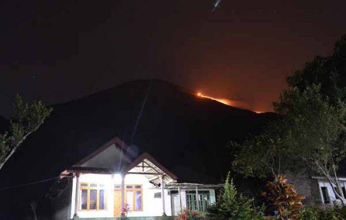 Kebakaran Gunung Penanggungan, Nasib 3 Pendaki Belum Jelas 